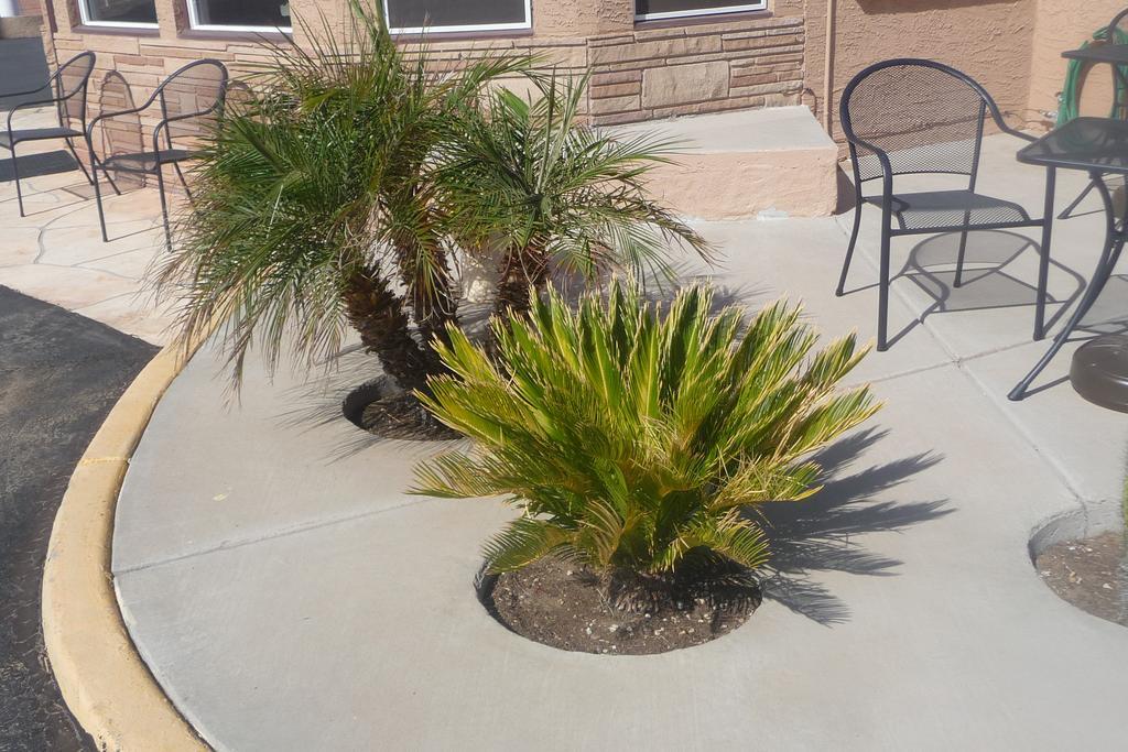 Palms Inn Gila Bend Exteriér fotografie